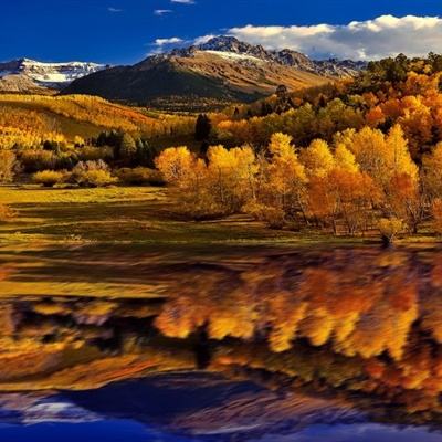 完美365体育截图